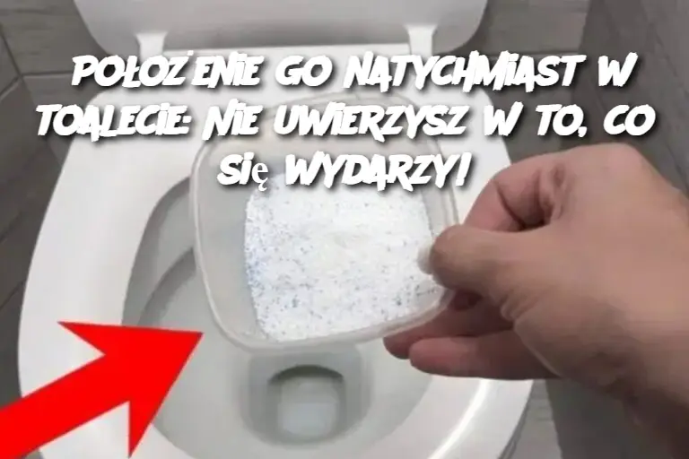 Położenie go natychmiast w toalecie: Nie uwierzysz w to, co się wydarzy!