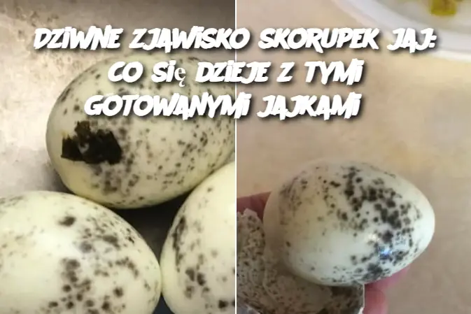 Dziwne zjawisko skorupek jaj: co się dzieje z tymi gotowanymi jajkami?