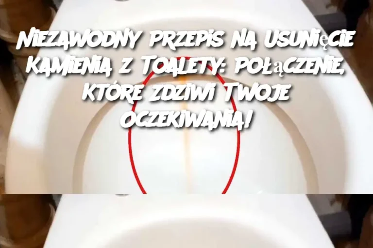 Niezawodny Przepis na Usunięcie Kamienia z Toalety: Połączenie, Które Zdziwi Twoje Oczekiwania!