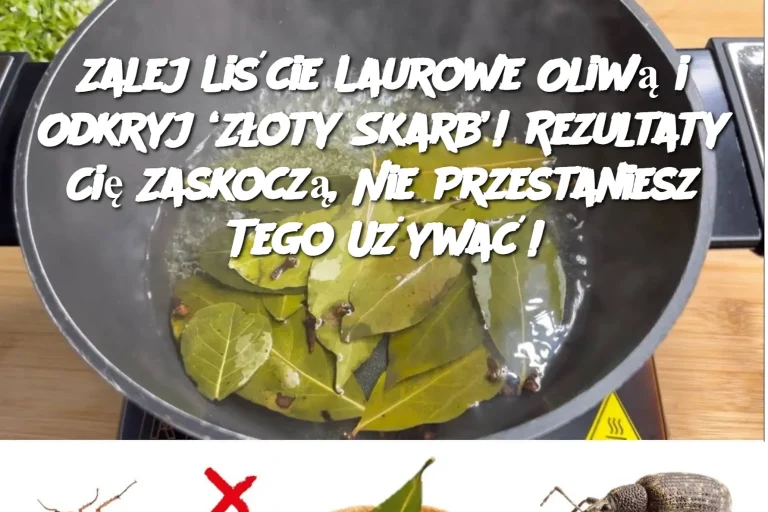 Zalej Liście Laurowe Oliwą i Odkryj ‘Złoty Skarb’! Rezultaty Cię Zaskoczą, Nie Przestaniesz Tego Używać!