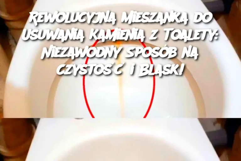 Rewolucyjna Mieszanka do Usuwania Kamienia z Toalety: Niezawodny Sposób na Czystość i Blask!