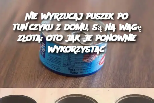 Nie wyrzucaj puszek po tuńczyku z domu, są na wagę złota: oto jak je ponownie wykorzystać