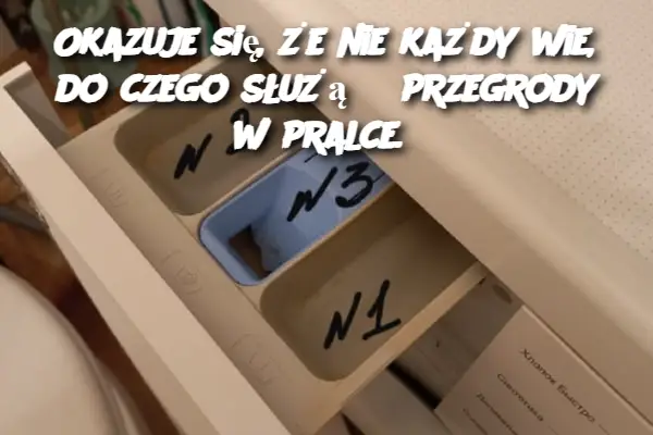 Okazuje się, że nie każdy wie, do czego służą 3 przegrody w pralce.