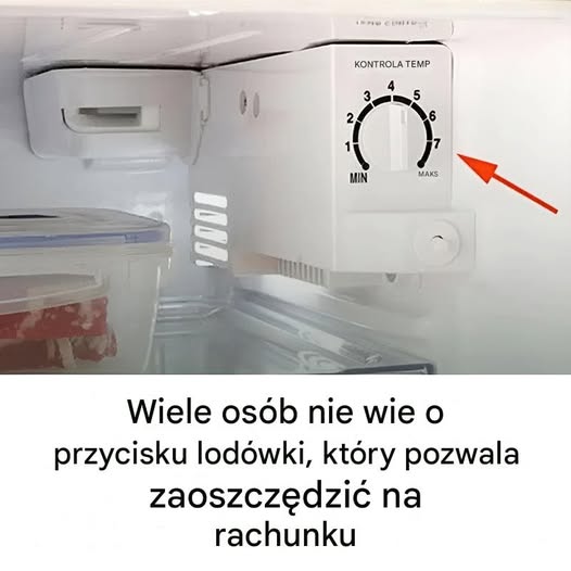 Lodówka posiada mały przycisk, dzięki któremu możesz zaoszczędzić na rachunkach za energię