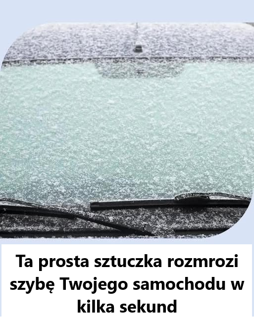 Ta prosta sztuczka rozmrozi szybę Twojego samochodu w kilka sekund