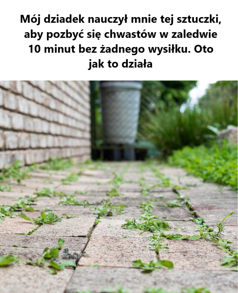 Nie miałam o tym pojęcia! Dobrze wiedzieć!