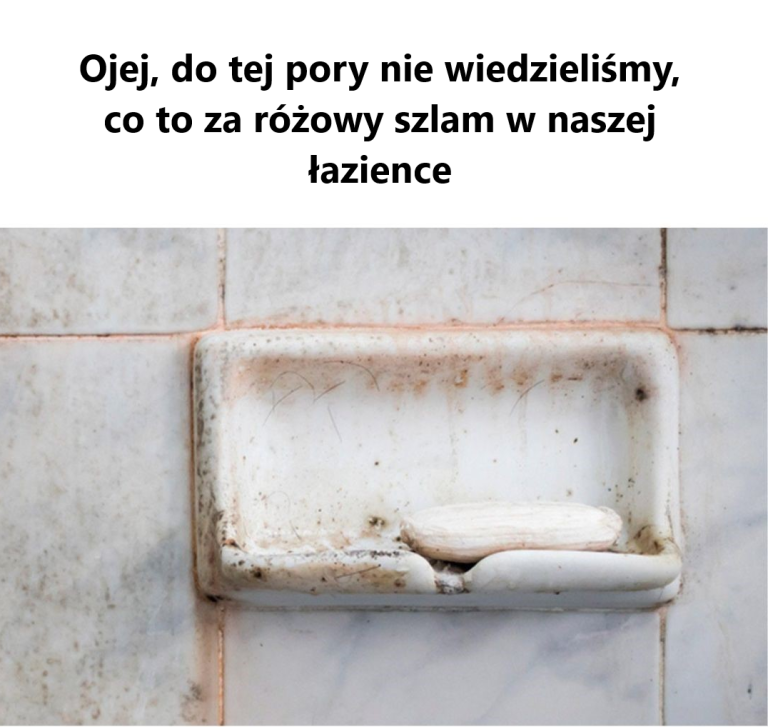 Co to za różowy szlam w Twojej łazience?