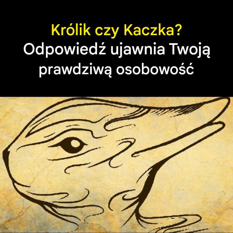 Test Osobowości: Królik czy Kaczka – Odpowiedź Ujawnia Twoją Prawdziwą Osobowość