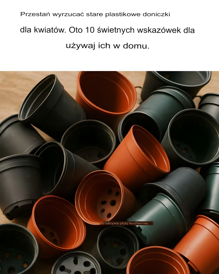 ♻️ Przestań wyrzucać stare plastikowe doniczki! Oto 10 świetnych sposobów na ich ponowne wykorzystanie w domu