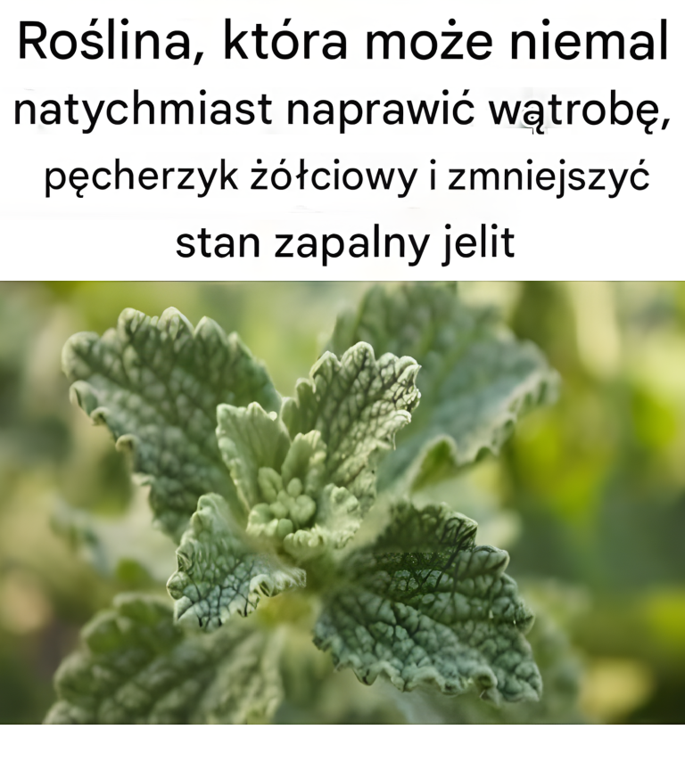 Roślina ta ma zdolność leczenia wielu chorób.