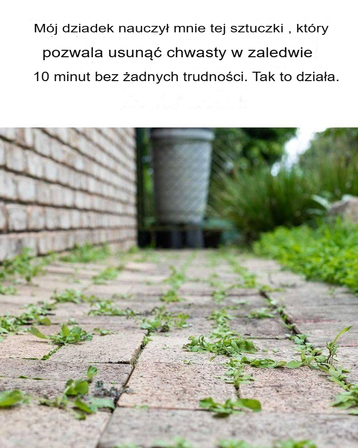« Nie wiedziałem tego! Dobrze wiedzieć »: Dziadek radzi sobie z chwastami