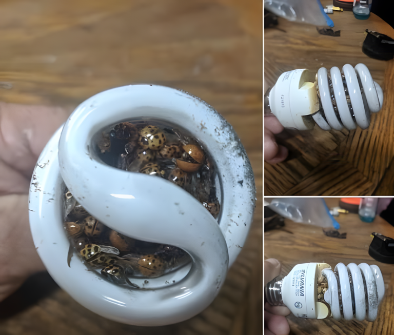 Mężczyzna idący po spiralnej lampie…
