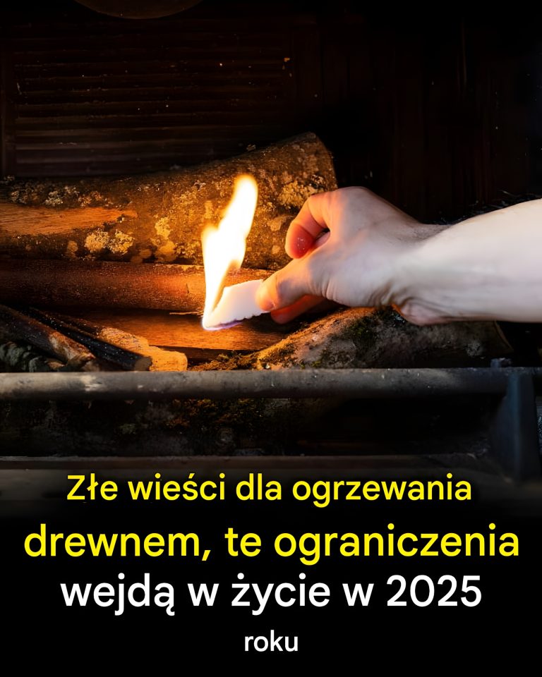 Ogrzewanie drewnem: zmiany w 2025 roku