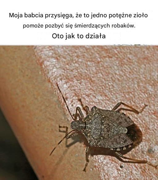 O kurczę! Nie wiedziałem o tym