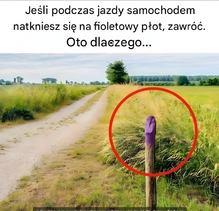 Dlaczego powinieneś natychmiast zawrócić, gdy zobaczysz fioletowy płot przy drodze? Oto, co musisz wiedzieć