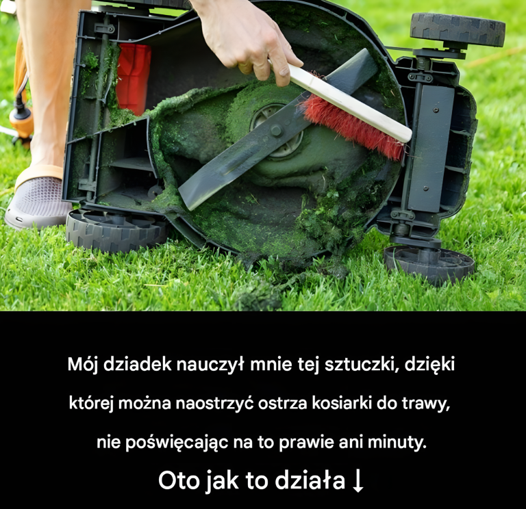 Sekret, który pozwala na szybkie naostrzenie ostrza kosiarki: Sztuczka od mojego dziadka