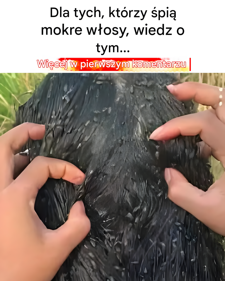 5 powszechnych mitów na temat spania z mokrymi włosami
