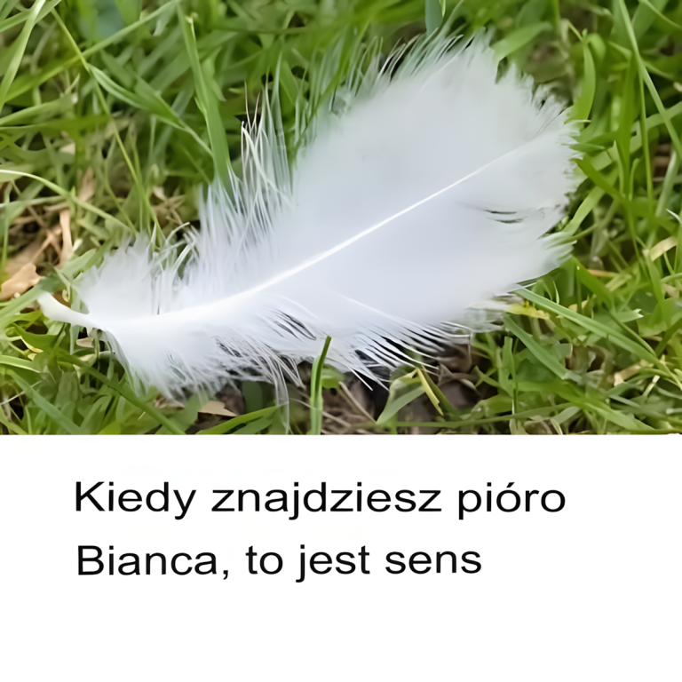 Oto co oznacza znalezienie białego piórka
