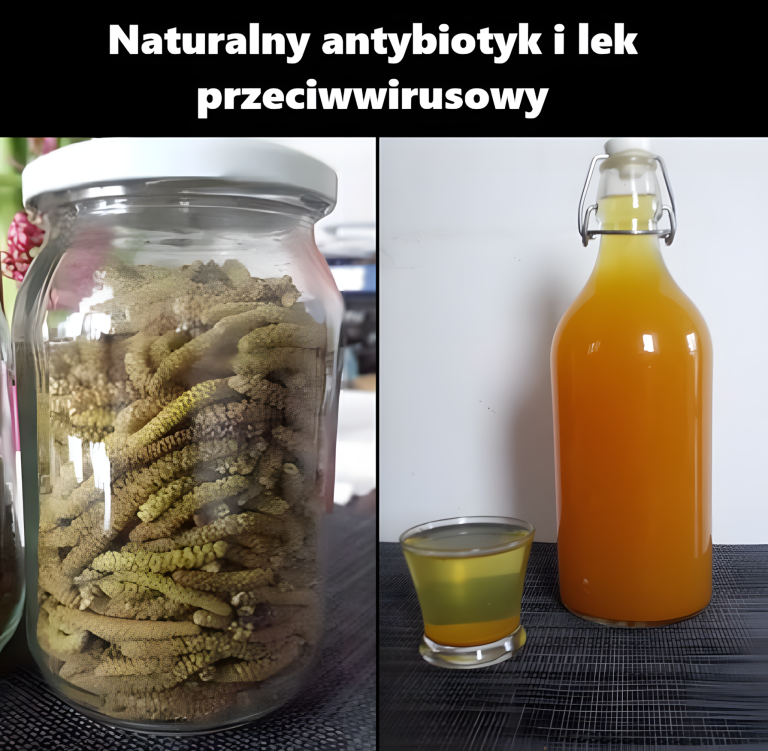 Naturalny antybiotyk i lek przeciwwirusowy
