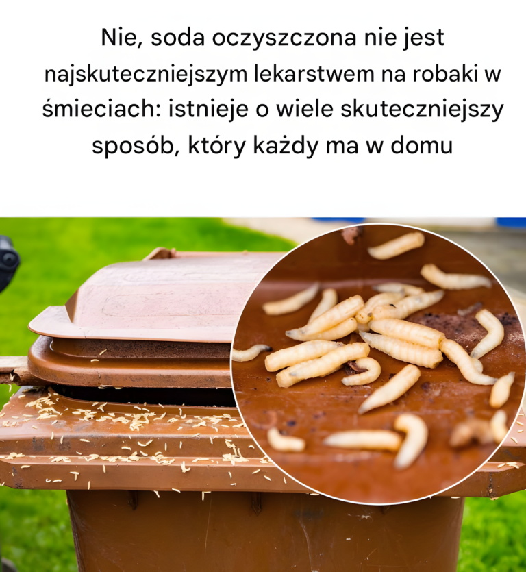 Nie, soda oczyszczona nie jest najskuteczniejszym lekarstwem na robaki w śmieciach: istnieje o wiele skuteczniejszy sposób, który każdy ma w domu