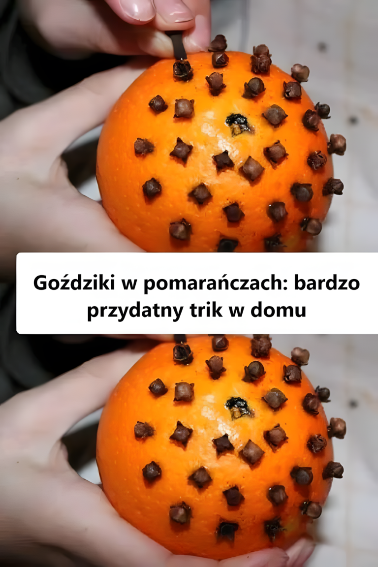 Goździki w kolorze pomarańczowym: bardzo przydatna wskazówka w domu