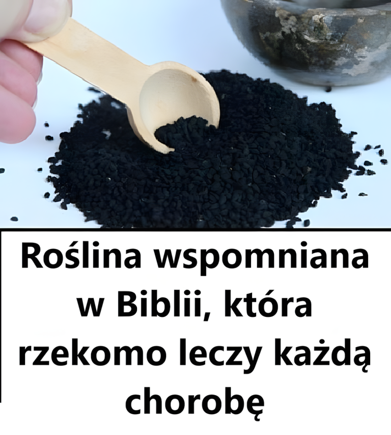 Biblijne zioło, od dawna cenione za swoje właściwości lecznicze, dziś znane jest ze swojego głębokiego wpływu na zdrowie.