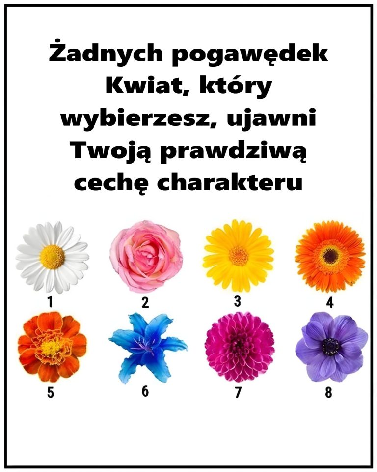 Żadnych pogawędek. Kwiat, który wybierzesz, ujawni Twoją prawdziwą cechę charakteru
